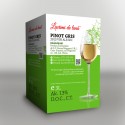 Pinot Gris 2013 3L
